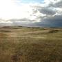 Monaro Plains