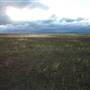 Monaro Plains