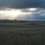 Monaro Plains