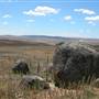 Monaro Plains