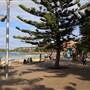 Manly Beach