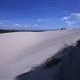 Cronulla Sand Dunes