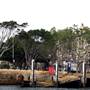 Walsh Bay - Sydney Harbour from the water