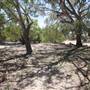 Bindara Station on the Darling - Period Homestead & Outbuildings