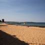 Collaroy Beach