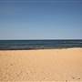 Collaroy Beach