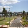 Barangaroo Reserve