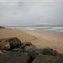 Cronulla Beach