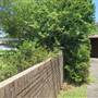 East Corrimal neighbourhood