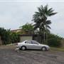 Bilgola Plateau neighbourhood
