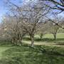 Private House - Crookwell