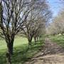 Private House - Crookwell