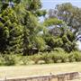 Kellyville Ridge Houses