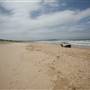 Cronulla Beach North End (Greenhills)