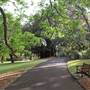 Royal Botanic Garden Sydney