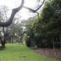 Royal Botanic Garden Sydney