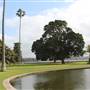 Royal Botanic Garden Sydney