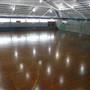 St Ignatius College, Riverview - Grounds/Sportsfields