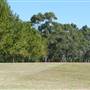 St Ignatius College, Riverview - Grounds/Sportsfields