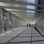 Wynyard Walk