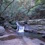 Minnamurra Rainforest Walk - Budderoo National Park