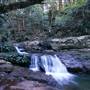 Minnamurra Rainforest Walk - Budderoo National Park