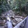 Minnamurra Rainforest Walk - Budderoo National Park