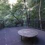 Minnamurra Rainforest Walk - Budderoo National Park
