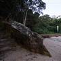 Little Collins Beach Sydney Harbour