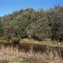 Frazer Beach Campground - Munmorah State Conservation Area