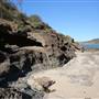 Munmorah State Conservation Area - Snapper Pt and Bongon Beach