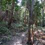 Munmorah State Conservation Area - Palms Picnic Area
