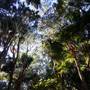 Munmorah State Conservation Area - Palms Picnic Area