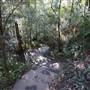 Somersby Falls picnic area - Brisbane Water National Park