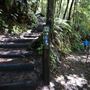 Katoomba Falls Reserve Walk & Tourist Park
