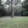 Red Cedar Flat picnic area