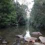 Red Cedar Flat picnic area