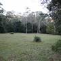 Red Cedar Flat picnic area