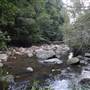 Red Cedar Flat picnic area