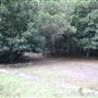 Red Cedar Flat picnic area