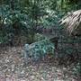 Red Cedar Flat picnic area
