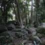 Mount Keira Scout Camp File 1