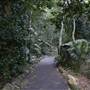 Mount Keira Scout Camp File 1