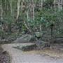 Mount Keira Scout Camp File 1
