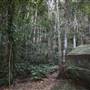 Mount Keira Scout Camp File 1