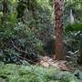 Mount Keira Scout Camp File 1