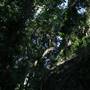 Mount Keira Scout Camp File 1
