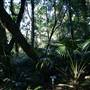 Mount Keira Scout Camp File 1