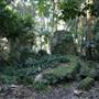 Mount Keira Scout Camp File 1