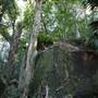 Mount Keira Scout Camp File 1